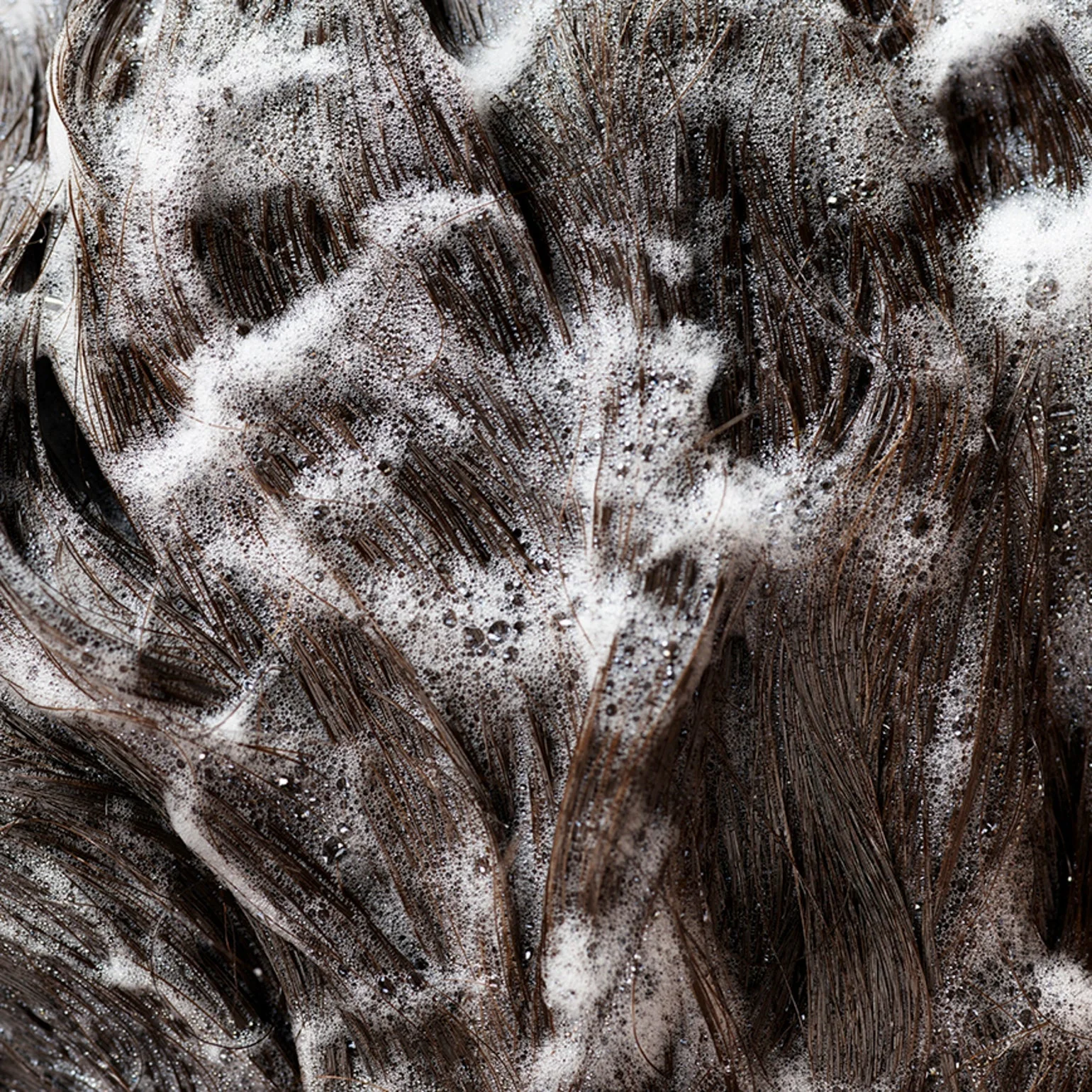 Signature Shampoo - Image 5